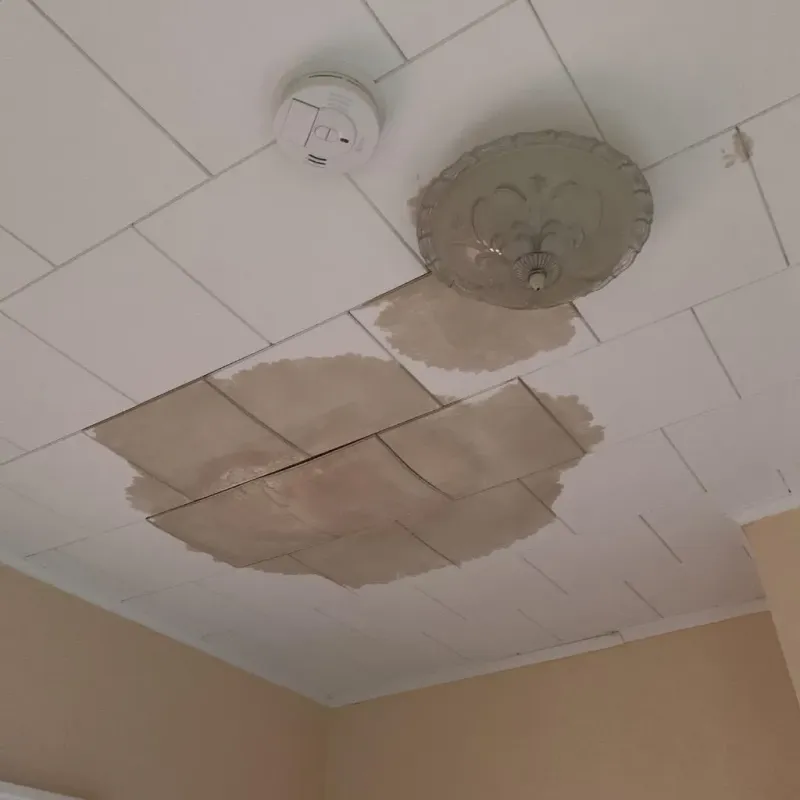 Ceiling Water Damage Repair in Vernon Center, NJ