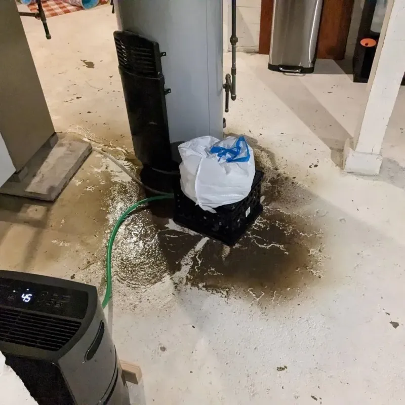 Sewage Backup Cleanup Service in Vernon Center, NJ
